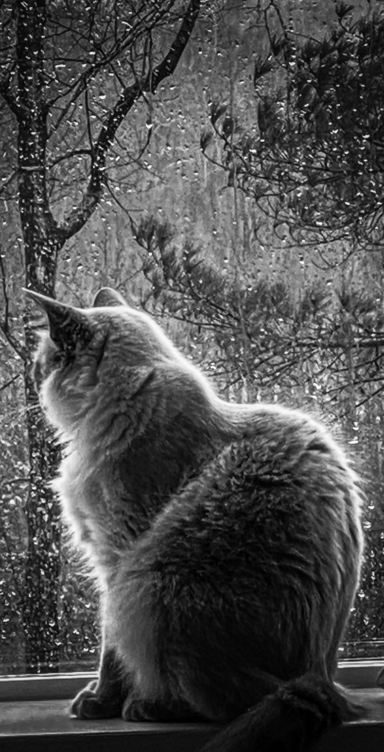 Will we see them&nbsp;again?